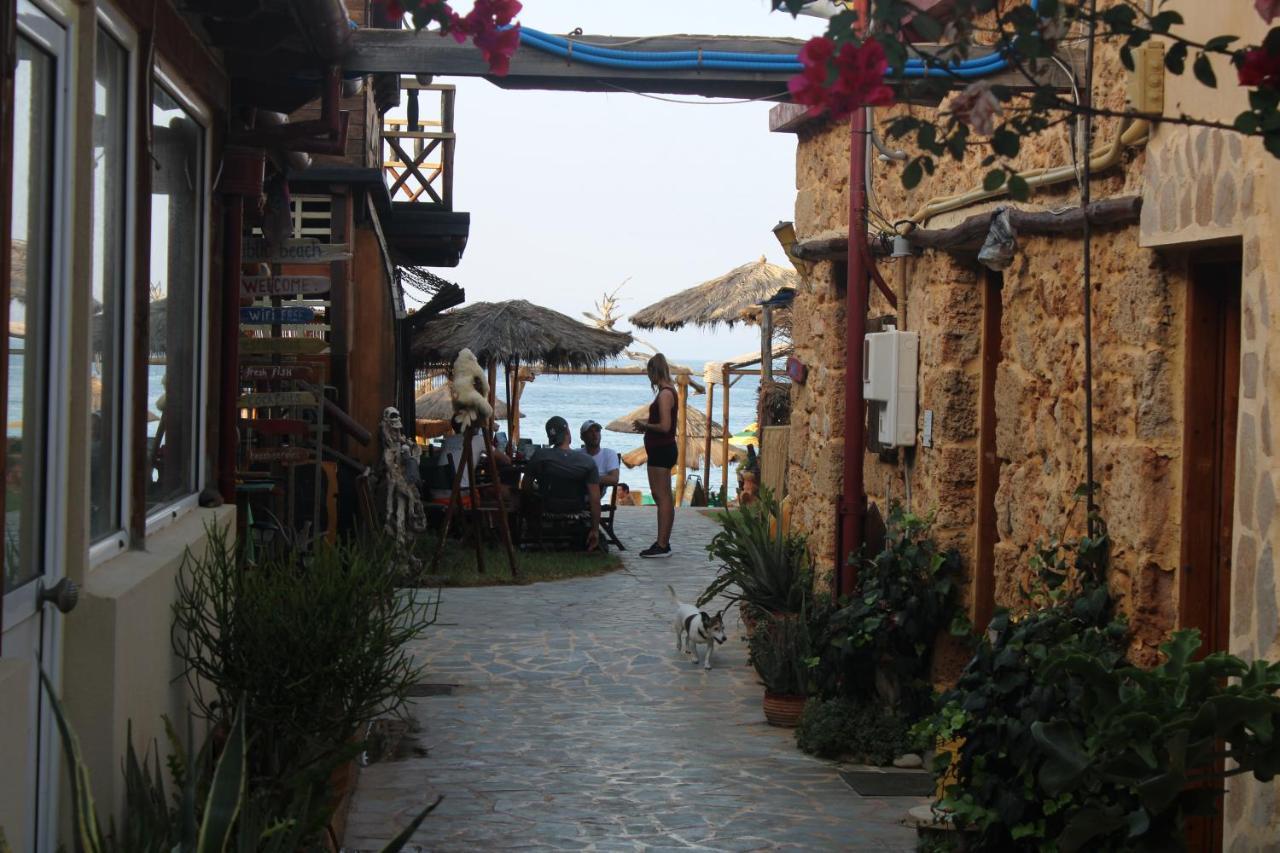 Dolphin Studios Malia  Exterior photo